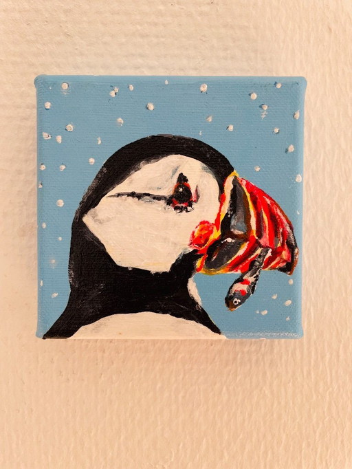 Portrait of a puffin