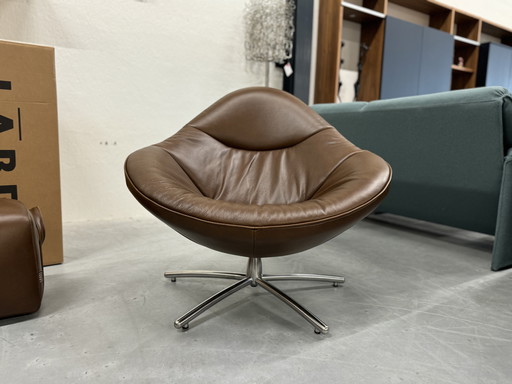 Label Vandenberg Hidde Soft Bovino Dark Brown