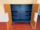 Cabinet Castelijn