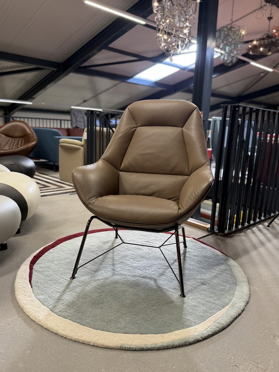 Image 1 of Poltrona lounge Prelude della Showmodel Jori Celia Mokka Read