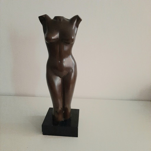 Nackte Frau Torso