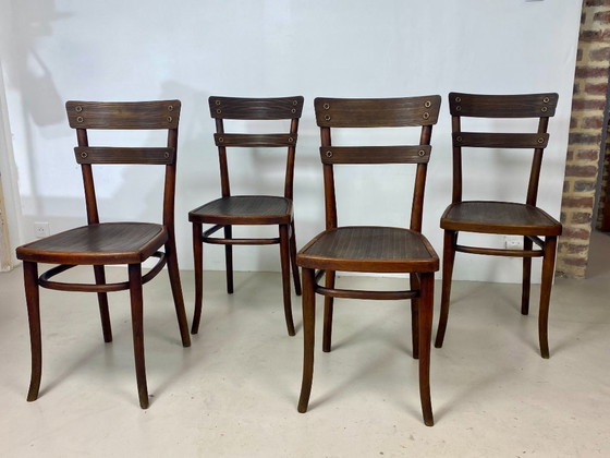 Image 1 of Juego de 4 sillas Thonet de madera de haya – Modelo n.º 651