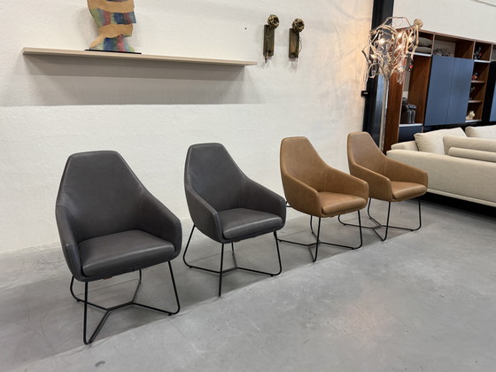 Image 1 of 4 Mostra modello Montis Lazy Vico sedie da pranzo in pelle
