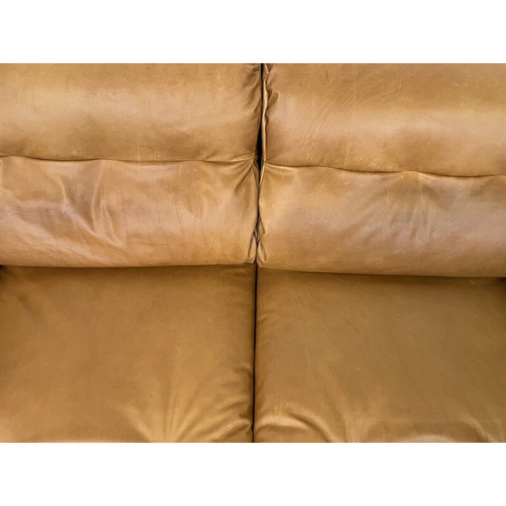 Image 1 of Vintage “Zelda” sofa by Sergio Asti for Poltronova, 1960