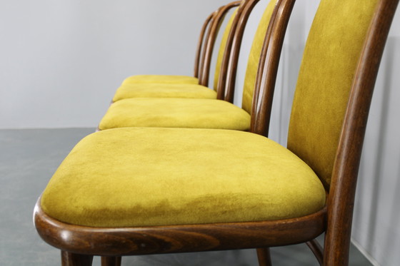 Image 1 of Juego de cuatro sillas de comedor de madera curvada de haya restauradas de la década de 1970, de TON, Checoslovaquia
