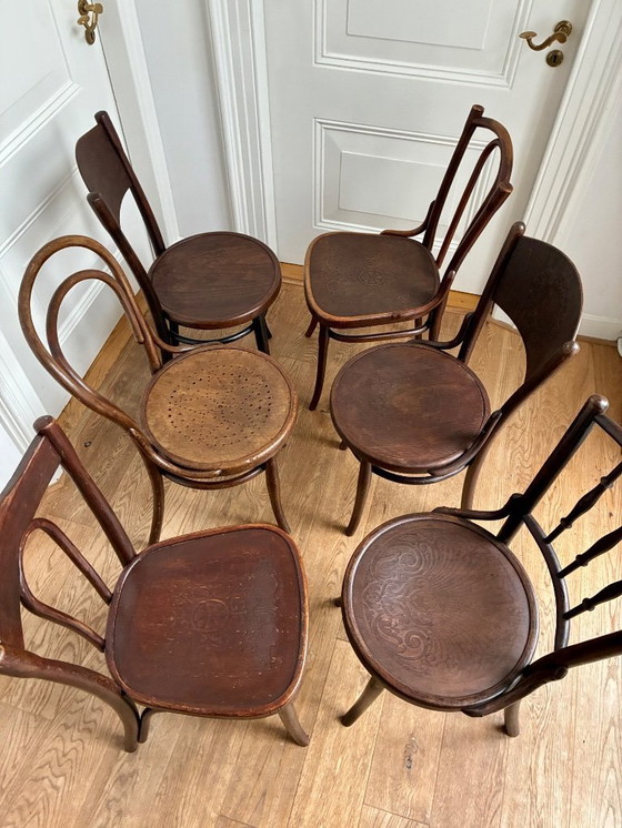 Image 1 of 6 sillas de comedor Thonet Mix-Match.