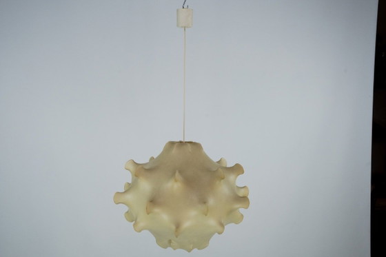 Image 1 of Rara lampada a sospensione in bozzolo di fiori di Taraxacum, prima edizione, anni '60.