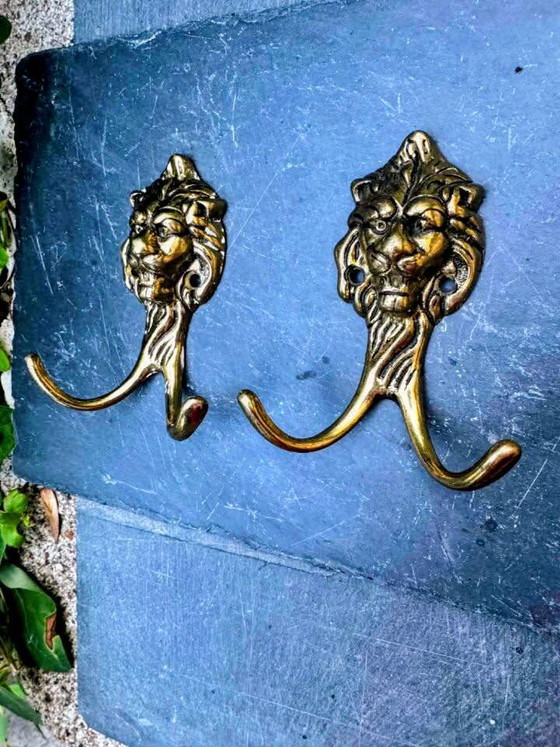 Pair of solid brass lion coat hooks Art Nouveau – Coat racks (photo 4 of 4)