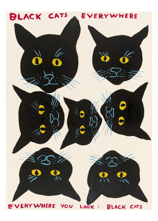 Gatos negros por todas partes - David Shrigley - Póster 50 × 70 cm