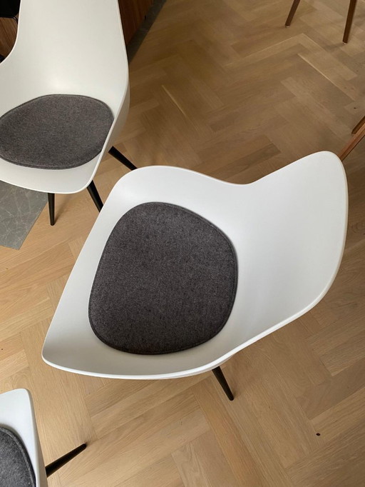 6 sedie Kubikoff Dimple, tavolo da pranzo con cuscini di seduta Parkhaus