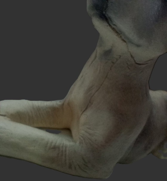 Image 1 of Borsa vintage in pelle Greyhound Château modellata a mano di metà secolo (Canada)