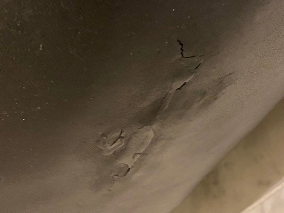 Image 1 of 2x Artifort di Geoffrey Harcourt