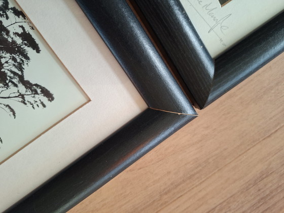 Image 1 of Deux superbes photos signées par Riona MacMonagle, dans leurs cadres d'origine.