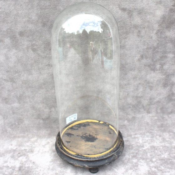 Image 1 of Antique round French Glass dome 13. 58 x 5.91 inch bell jar 34,5 x 15 cm Victorian era cloche taxidermy steampunk Display mouth 