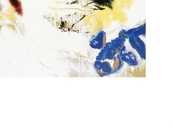 Image 1 of Vliet, Don van - Parapliers the Willow dipped 