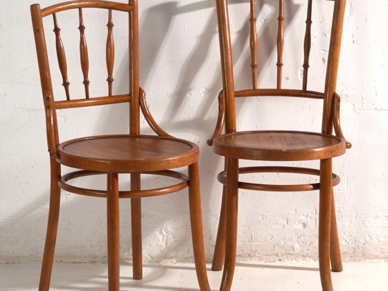 Sedie antiche in legno curvato stile Thonet – Ungheria, circa 1960 #8 – Sedie da pranzo (photo 2 of 40)