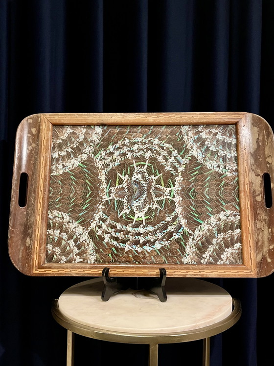 Image 1 of Vintage Midcentury Zitrin-Rio butterfly wing tray – 33×52 cm