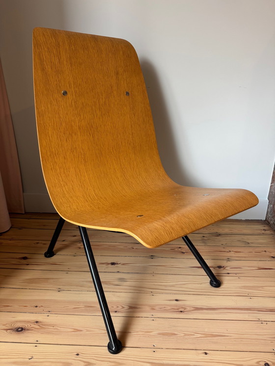 Image 1 of Jean Prouvé - Chaise Anthony