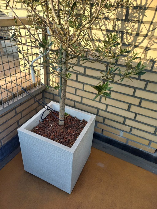 2 x weiße Pflanzgefäße elho