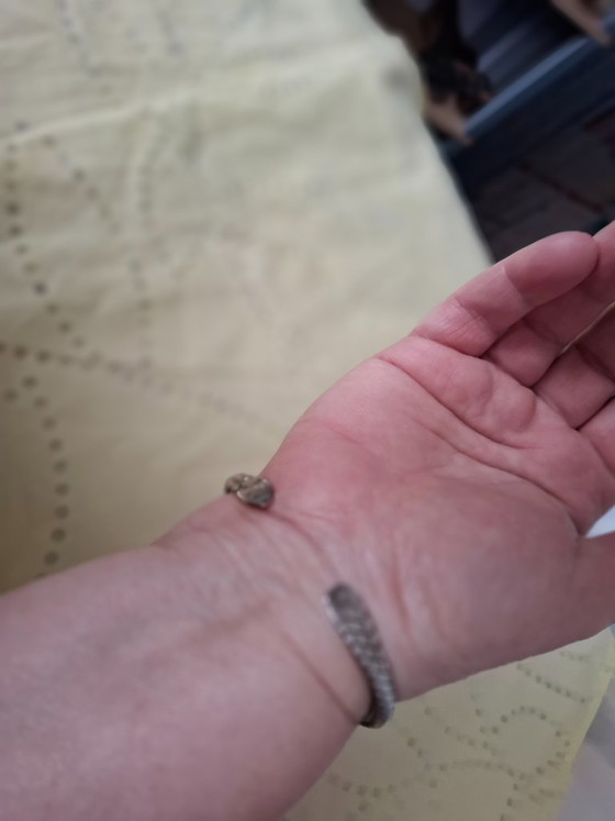 Image 1 of Massief zilveren armband, 20 cm (geschikt voor polsen van 18,5 tot 22 cm)