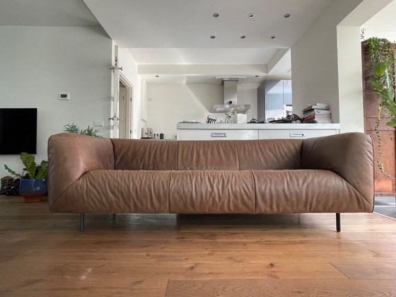 Image 1 of Label, Moby Dick 3 zits