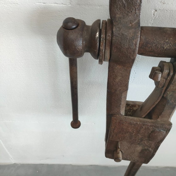 Antique industrial decorative long-tail vice, Decorative Objects, Metal, Brown, Vintage (photo 4 of 12)