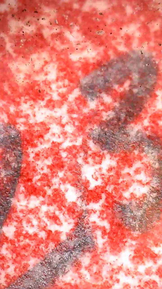 Image 1 of HUGO WULTZ exclusive Xl colorLitho 23/40 'Fantastic Realism'