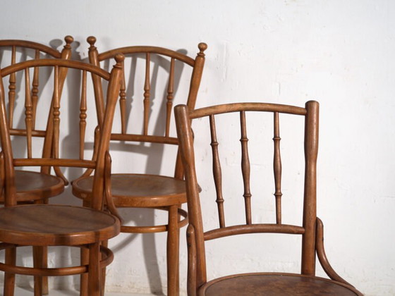 Antikes Set von 4 Bugholzstühlen aus gebogenem Holz – Mitteleuropa, um 1900 – Thonet, Esszimmerstühle, Metal (photo 13 of 40)