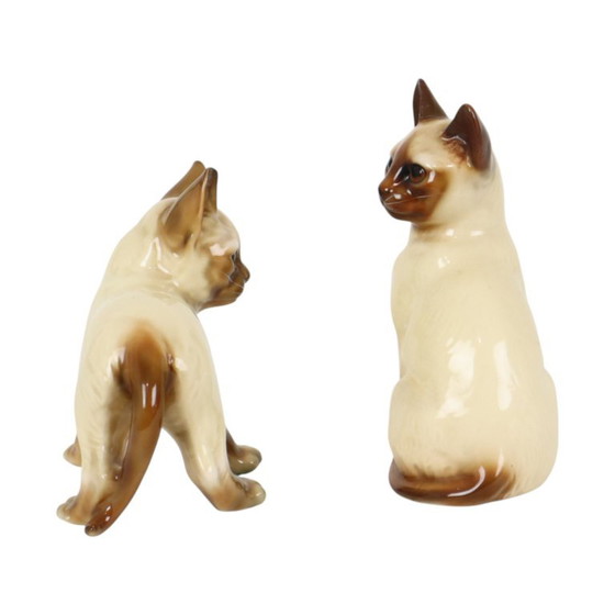 Koppel Beeldjes Siamese Kat Geglazuurd Keramiek Japan – Beeldhouwkunst, Ceramic (photo 3 of 13)