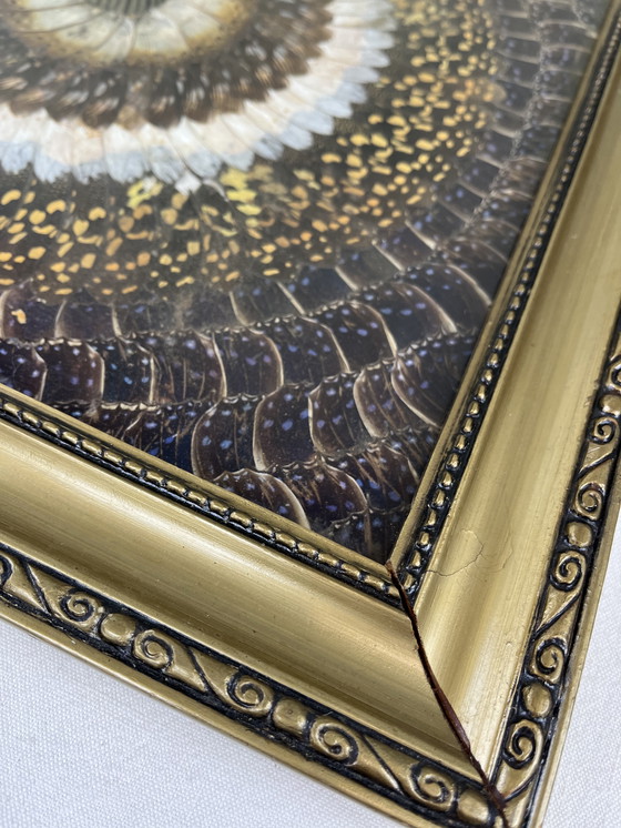 Image 1 of Tableau aile de papillons