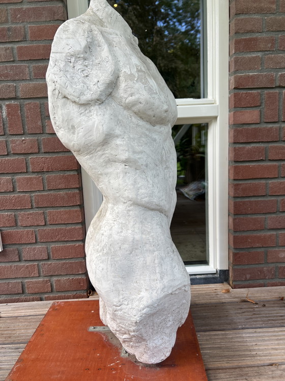 Torso Maschile Gesso Pezzo Unico – Arte, Metal, Other (photo 4 of 5)