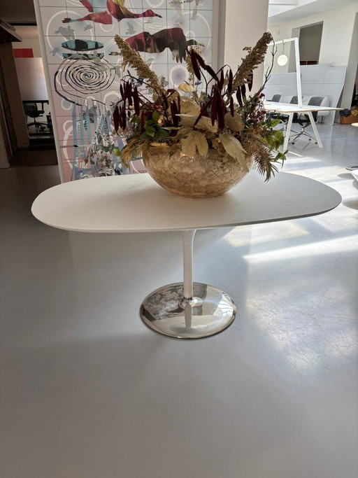 Arper Dizzie oval table