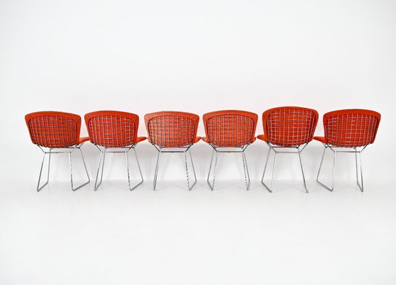 Image 1 of Sillas de Harry Bertoia para Knoll, década de 1960, juego de 6
