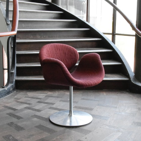 Image 1 of 6 Artifort Little Tulip chairs