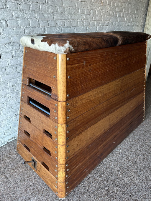 Vintage Sockelschrank für Turnhalle