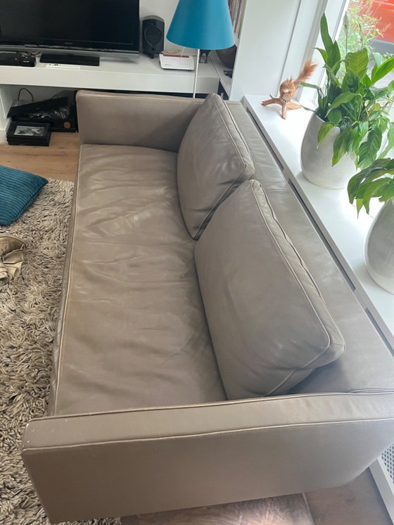 Image 1 of Molinari Modelo Aspen, Color Hígado 2017