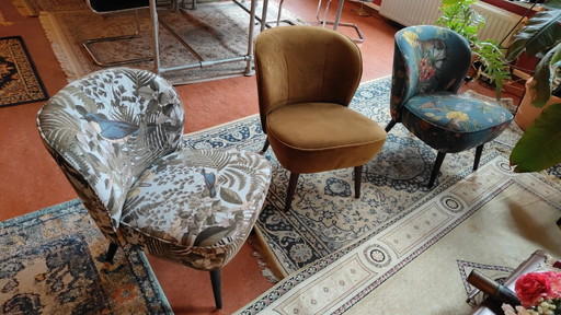 6 Sissy-Boy tub chairs, 3 kinds of designs, nice condition!