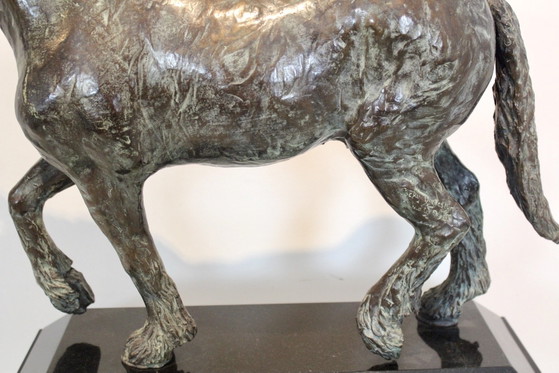 Bronze Pferd Bildhauerei von Cocky Duijvesteijn, Metall (Foto 8 von 13)