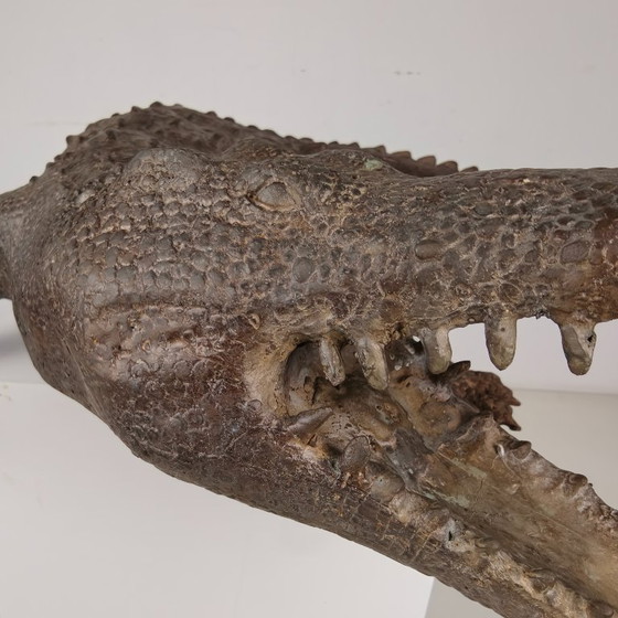 Image 1 of Monumental bronze crocodile sculpture from the 20th century