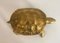 Messing schildpadsculptuur – Beeldhouwkunst, Brass (photo 3 of 9)