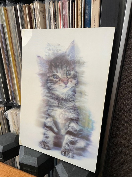 Impresión lenticular, Gatito, Multicolor, Láminas artísticas, 1990 (foto 3 de 11)