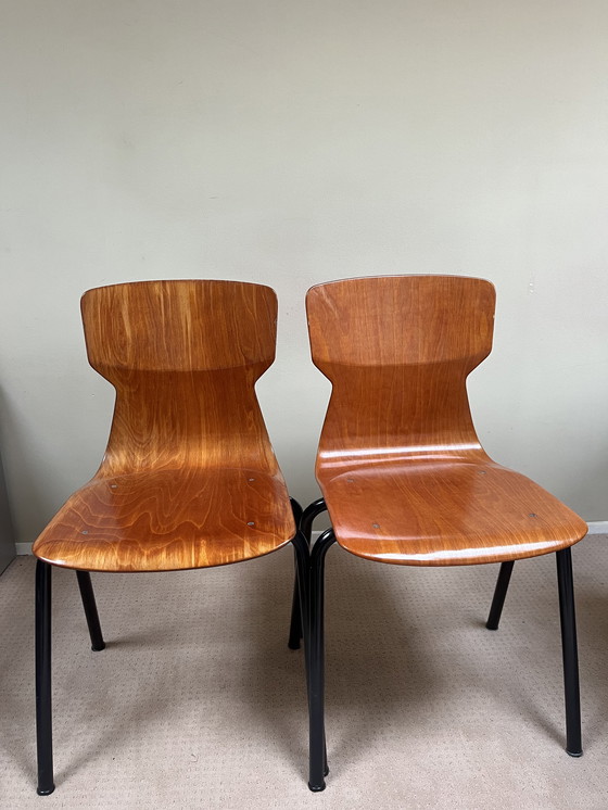 Image 1 of Sedia Eromes Robit Stoel obo-1 