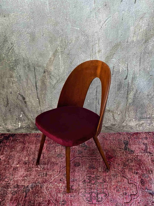 Antonín Šuman Stuhl 1967 für MIER Topoľčany, Mid Century Stuhl Nussbaum, Restauriert, Tschechischer (photo 2 of 9)