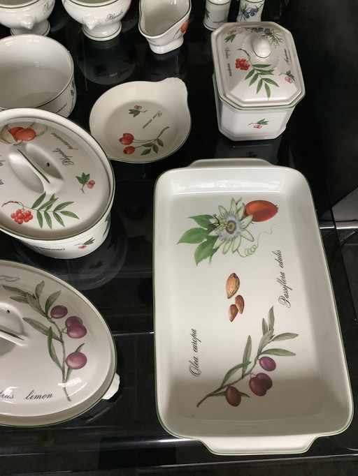 Apilco Elysian Garden Tableware