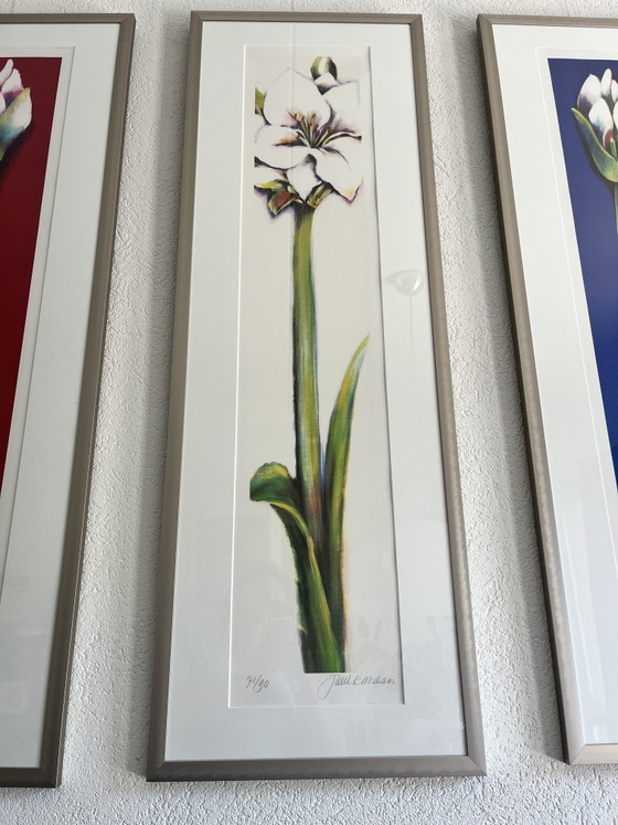 3 Signed Amaryllis Works by Juul Kortkaas – 71/90 – Framed – Lithographs & prints, Paper (photo 4 of 7)