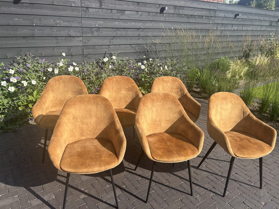 Image 1 of Eetkamerstoelen Montel type Lopez 6 stuks