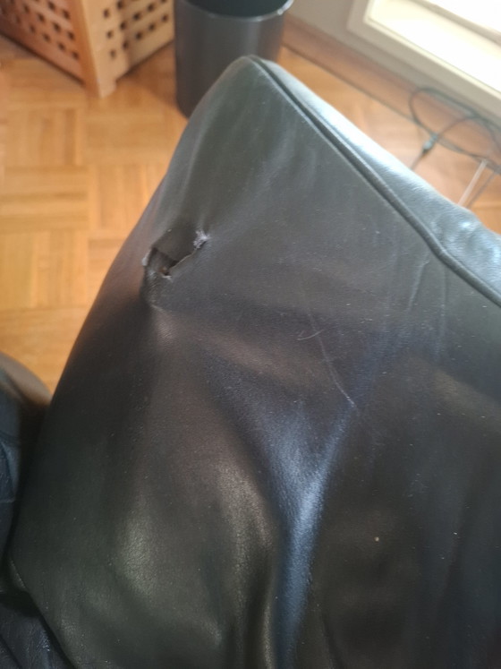 Image 1 of De Sede leather bench