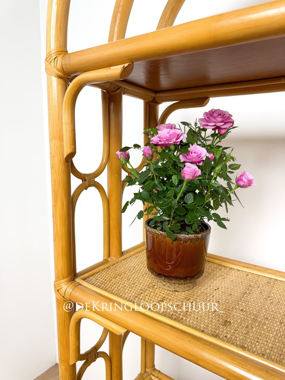 Image 1 of Vintage rattan bamboo arched cabinet bookcase