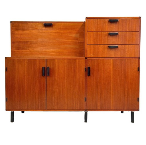Vintage Pastoe Maßgefertigter Schrank Cees Braakman 1960er Jahre