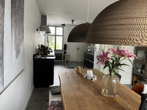 2 Stuks Lookalike Graypant Hanglamp